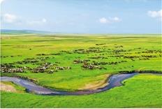 The scenery of Nailin Gaole grassland in Dongwuzhumuqin Banner, Inner Mongolia. Xinhua News Agency reporter Ren Junchuan photo